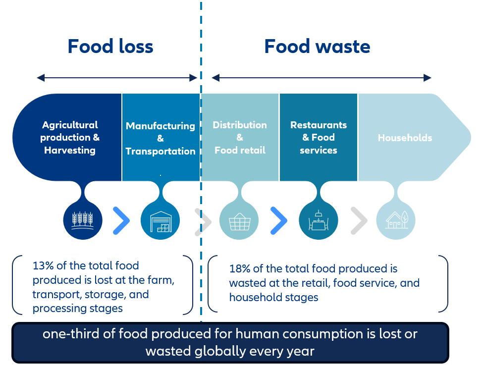 Where and how food is lost and wasted